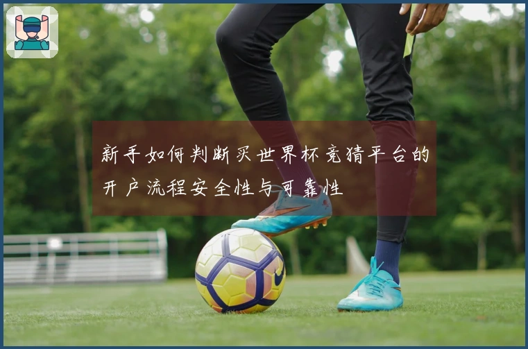 新手如何判断买世界杯竞猜平台的开户流程安全性与可靠性