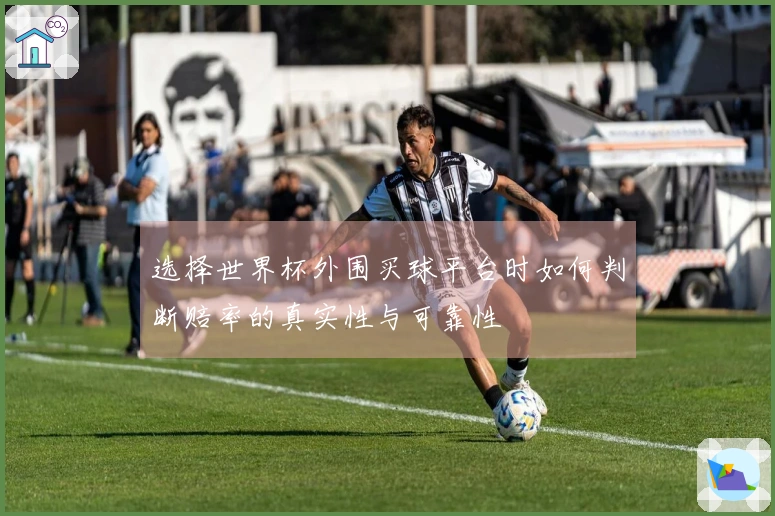 选择世界杯外围买球平台时如何判断赔率的真实性与可靠性