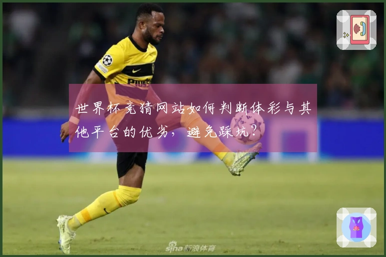 世界杯竞猜网站如何判断体彩与其他平台的优劣，避免踩坑？