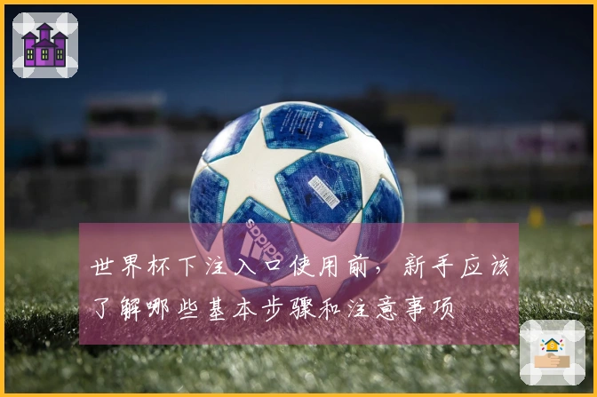 世界杯下注入口使用前，新手应该了解哪些基本步骤和注意事项