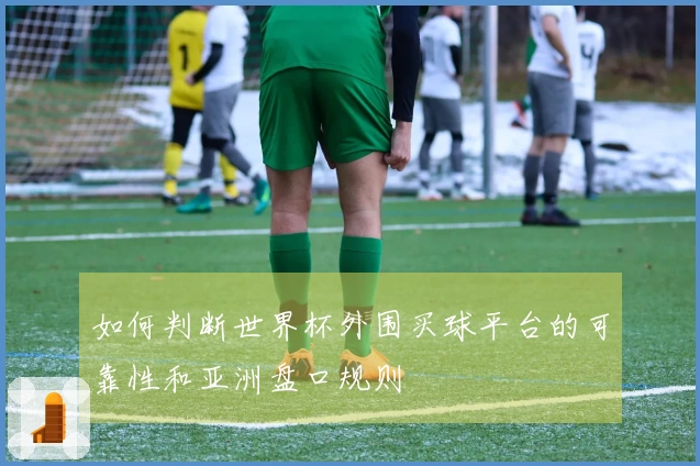 如何判断世界杯外围买球平台的可靠性和亚洲盘口规则