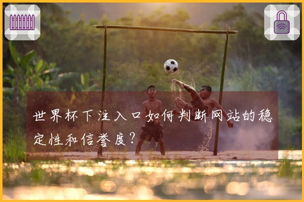 世界杯下注入口如何判断网站的稳定性和信誉度？