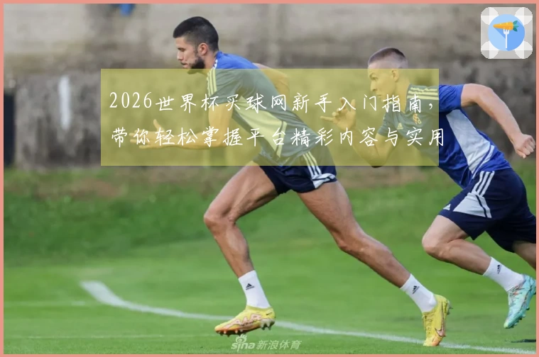 2026世界杯买球网新手入门指南，带你轻松掌握平台精彩内容与实用功能