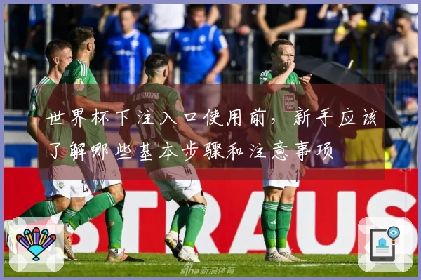 世界杯下注入口使用前，新手应该了解哪些基本步骤和注意事项
