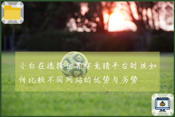 小白在选择世界杯竞猜平台时该如何比较不同网站的优势与劣势