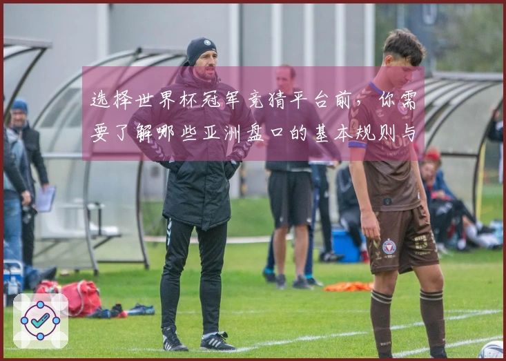 选择世界杯冠军竞猜平台前，你需要了解哪些亚洲盘口的基本规则与风险？