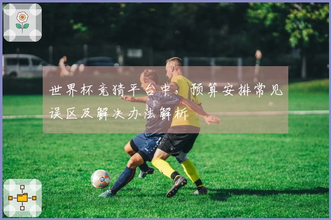 世界杯竞猜平台中，预算安排常见误区及解决办法解析