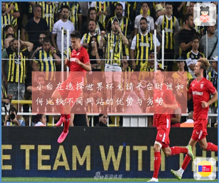 小白在选择世界杯竞猜平台时该如何比较不同网站的优势与劣势