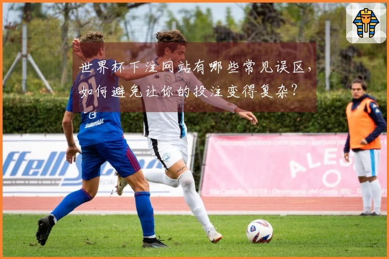 世界杯下注网站有哪些常见误区，如何避免让你的投注变得复杂？