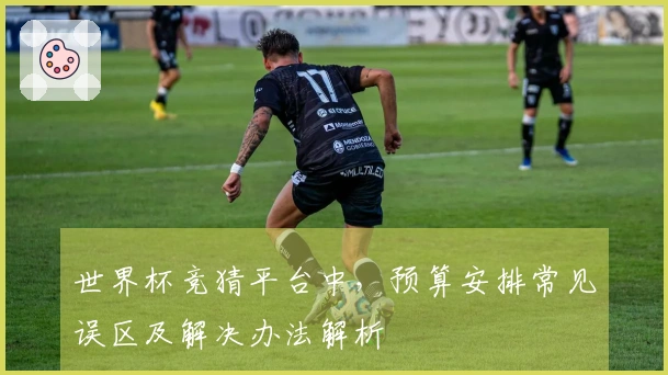 世界杯竞猜平台中，预算安排常见误区及解决办法解析