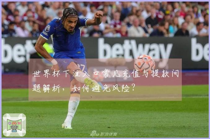 世界杯下注入口常见充值与提款问题解析，如何避免风险？