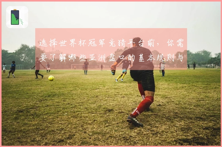选择世界杯冠军竞猜平台前，你需要了解哪些亚洲盘口的基本规则与风险？